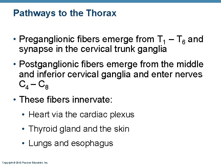 Pathways to the Thorax • Preganglionic fibers emerge from T 1 – T 6