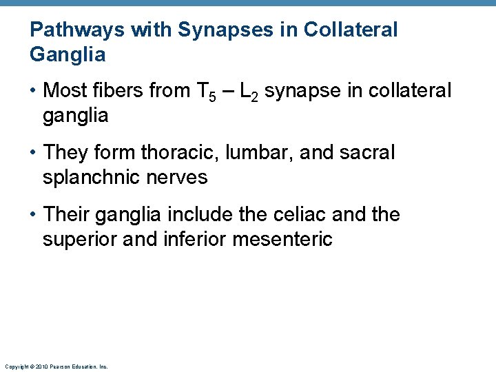 Pathways with Synapses in Collateral Ganglia • Most fibers from T 5 – L