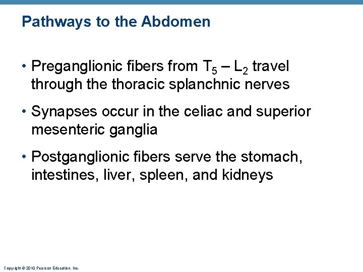 Pathways to the Abdomen • Preganglionic fibers from T 5 – L 2 travel