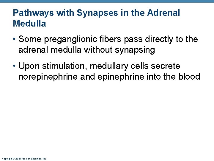 Pathways with Synapses in the Adrenal Medulla • Some preganglionic fibers pass directly to