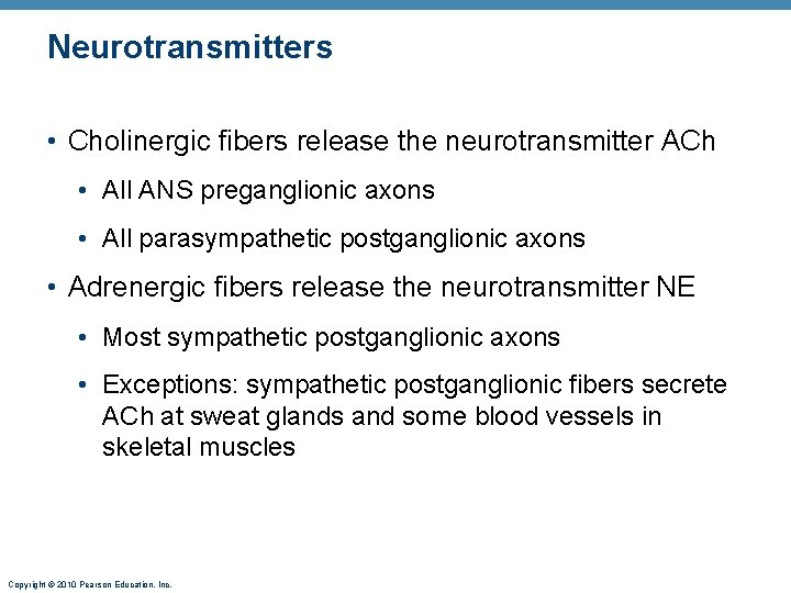 Neurotransmitters • Cholinergic fibers release the neurotransmitter ACh • All ANS preganglionic axons •