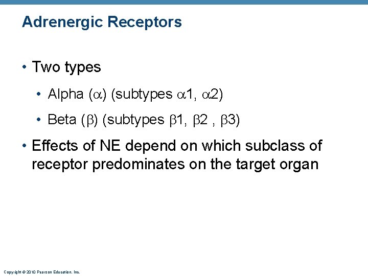 Adrenergic Receptors • Two types • Alpha ( ) (subtypes 1, 2) • Beta