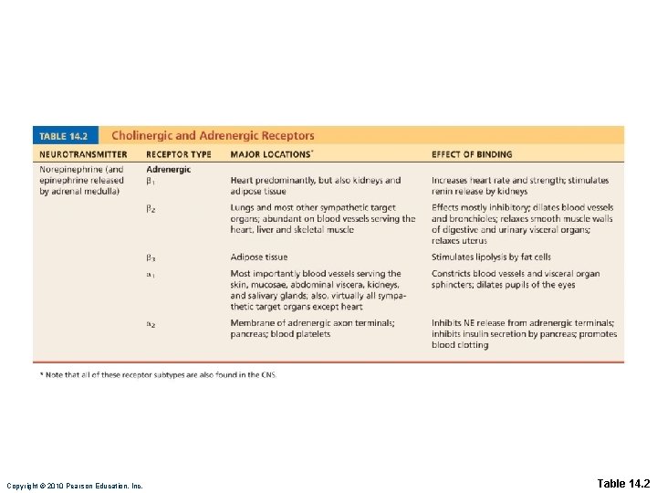 Copyright © 2010 Pearson Education, Inc. Table 14. 2 