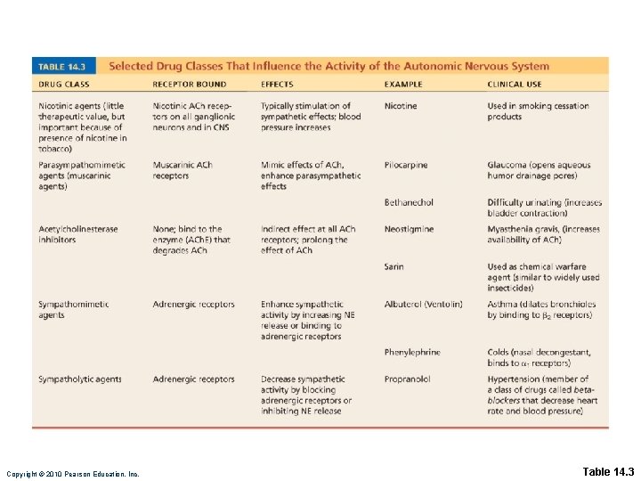 Copyright © 2010 Pearson Education, Inc. Table 14. 3 