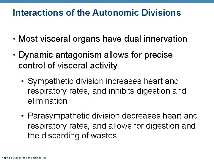 Interactions of the Autonomic Divisions • Most visceral organs have dual innervation • Dynamic