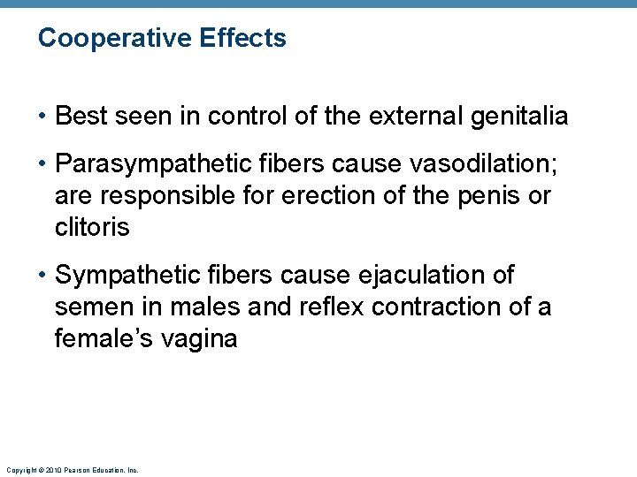 Cooperative Effects • Best seen in control of the external genitalia • Parasympathetic fibers