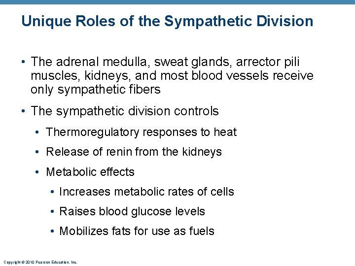 Unique Roles of the Sympathetic Division • The adrenal medulla, sweat glands, arrector pili