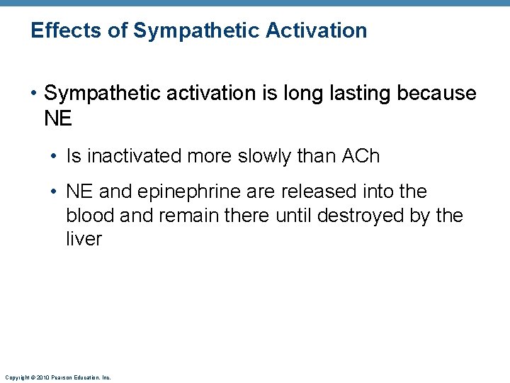 Effects of Sympathetic Activation • Sympathetic activation is long lasting because NE • Is