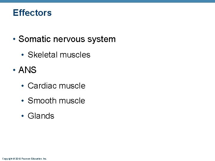 Effectors • Somatic nervous system • Skeletal muscles • ANS • Cardiac muscle •