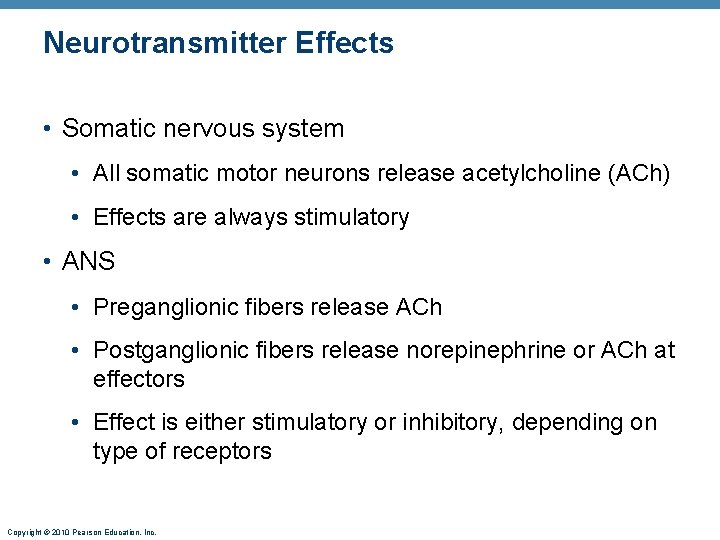 Neurotransmitter Effects • Somatic nervous system • All somatic motor neurons release acetylcholine (ACh)