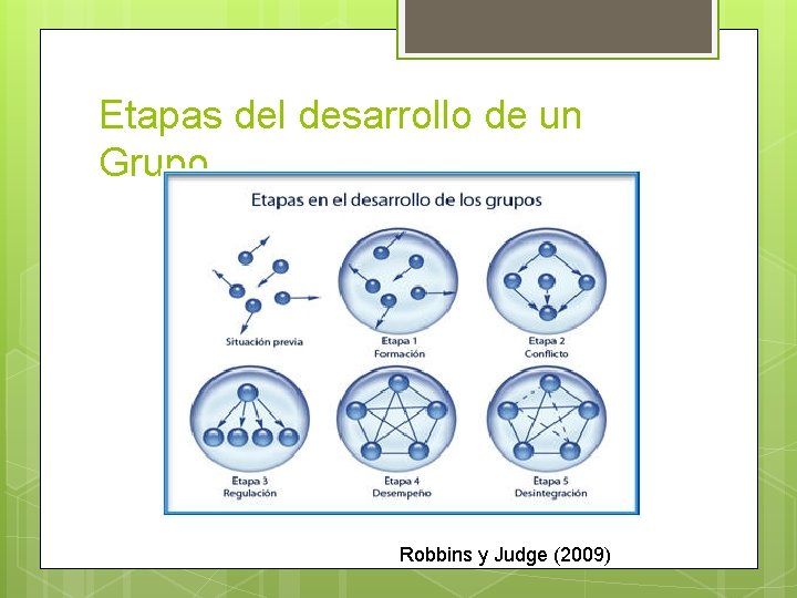 Etapas del desarrollo de un Grupo Robbins y Judge (2009) 