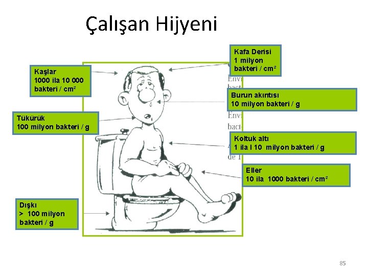 Çalışan Hijyeni Kaşlar 1000 ila 10 000 bakteri / cm² Kafa Derisi 1 milyon Çalışan Hijyeni Kaşlar 1000 ila 10 000 bakteri / cm² Kafa Derisi 1 milyon