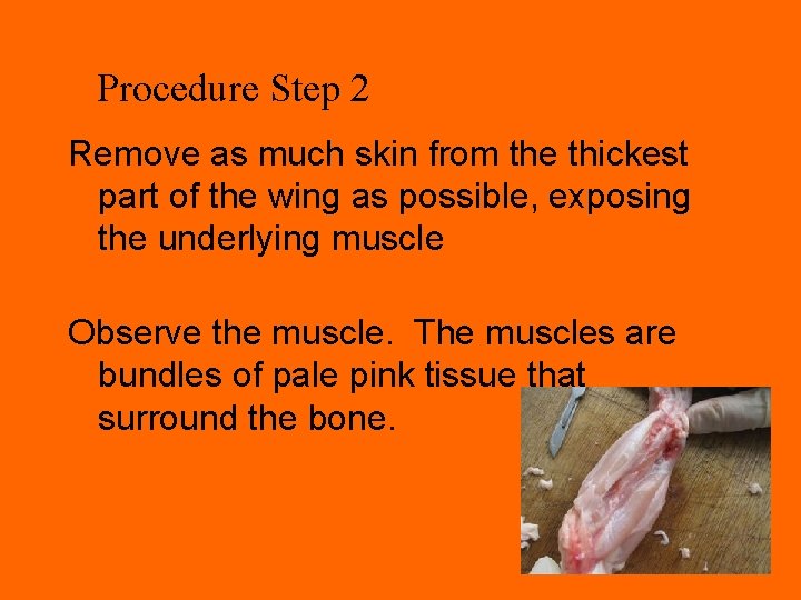 Procedure Step 2 Remove as much skin from the thickest part of the wing