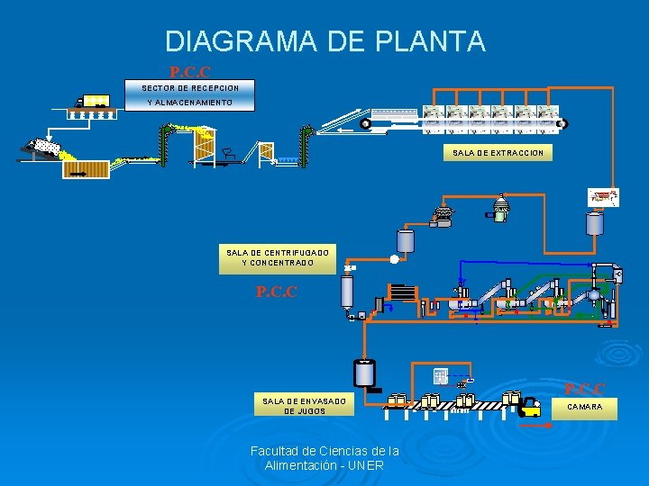 DIAGRAMA DE PLANTA P. C. C SECTOR DE RECEPCION Y ALMACENAMIENTO SALA DE EXTRACCION