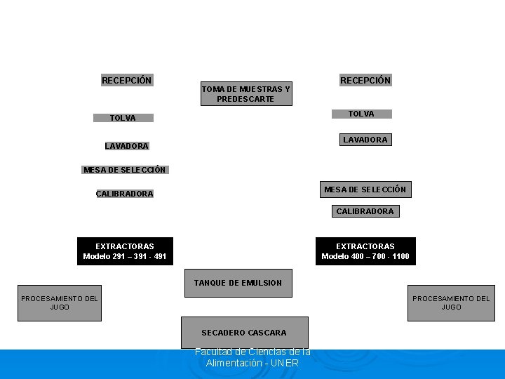 RECEPCIÓN TOMA DE MUESTRAS Y PREDESCARTE TOLVA LAVADORA MESA DE SELECCIÓN CALIBRADORA EXTRACTORAS Modelo
