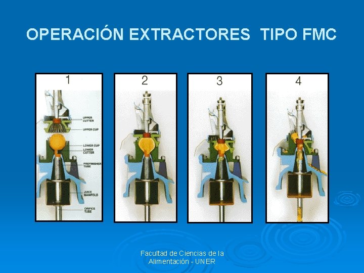 OPERACIÓN EXTRACTORES TIPO FMC Facultad de Ciencias de la Alimentación - UNER 