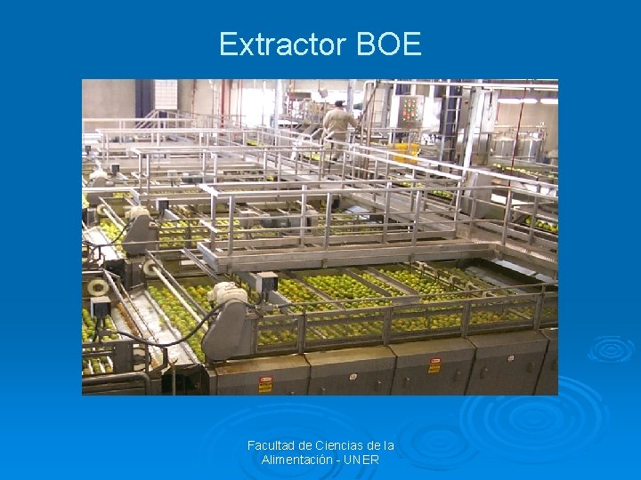 Extractor BOE Facultad de Ciencias de la Alimentación - UNER 