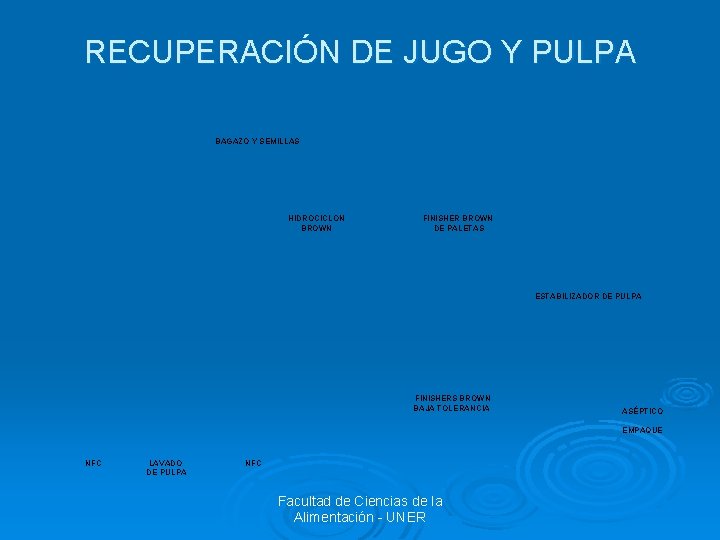 RECUPERACIÓN DE JUGO Y PULPA BAGAZO Y SEMILLAS HIDROCICLON BROWN FINISHER BROWN DE PALETAS