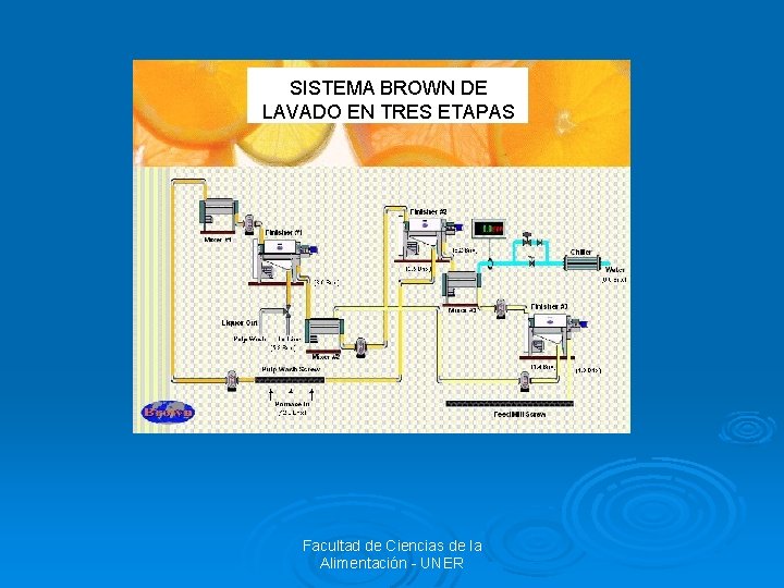 SISTEMA BROWN DE LAVADO EN TRES ETAPAS Facultad de Ciencias de la Alimentación -