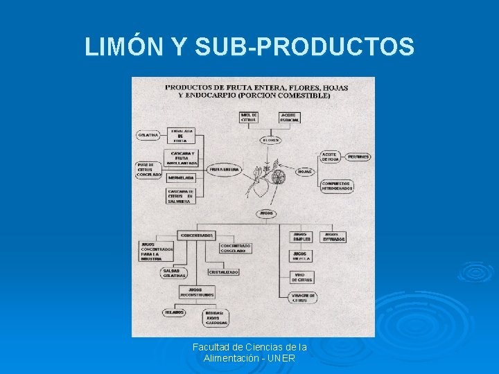 LIMÓN Y SUB-PRODUCTOS Facultad de Ciencias de la Alimentación - UNER 