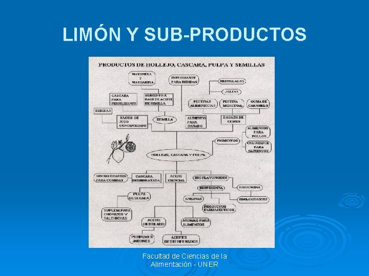 LIMÓN Y SUB-PRODUCTOS Facultad de Ciencias de la Alimentación - UNER 