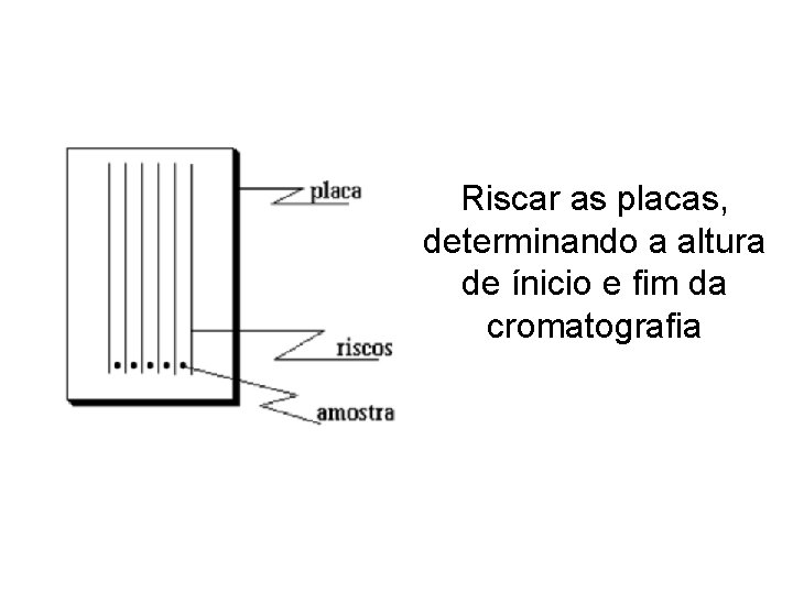 Riscar as placas, determinando a altura de ínicio e fim da cromatografia 