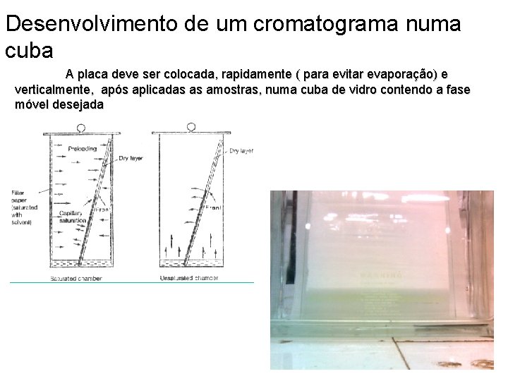 Desenvolvimento de um cromatograma numa cuba A placa deve ser colocada, rapidamente ( para