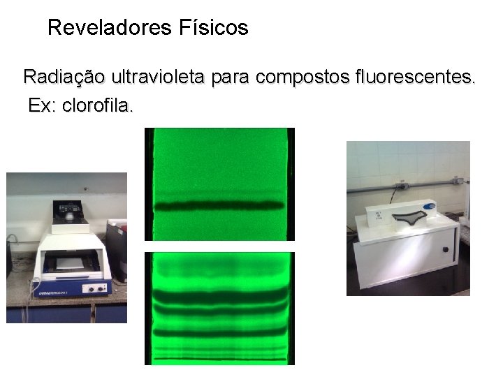 Reveladores Físicos Radiação ultravioleta para compostos fluorescentes. Ex: clorofila. 