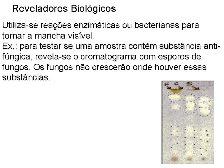 Reveladores Biológicos Utiliza-se reações enzimáticas ou bacterianas para tornar a mancha visível. Ex. :