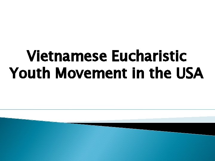 Vietnamese Eucharistic Youth Movement in the USA Vietnamese Eucharistic Youth Movement in the USA