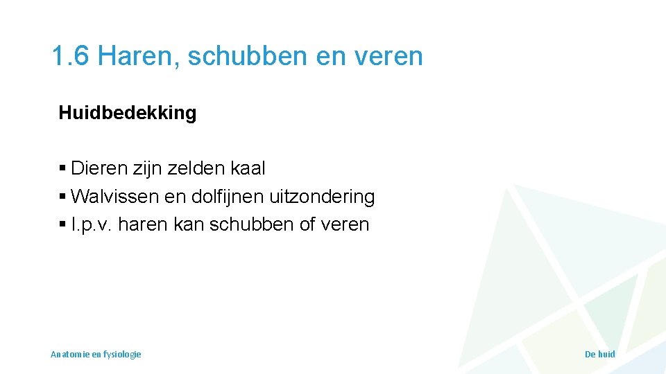 1. 6 Haren, schubben en veren Huidbedekking § Dieren zijn zelden kaal § Walvissen