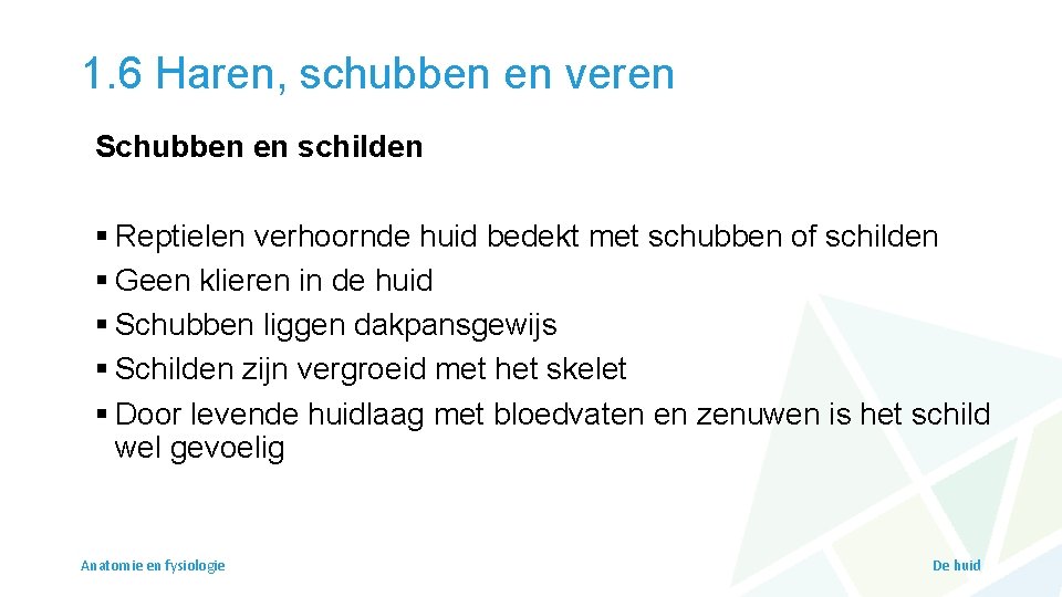 1. 6 Haren, schubben en veren Schubben en schilden § Reptielen verhoornde huid bedekt