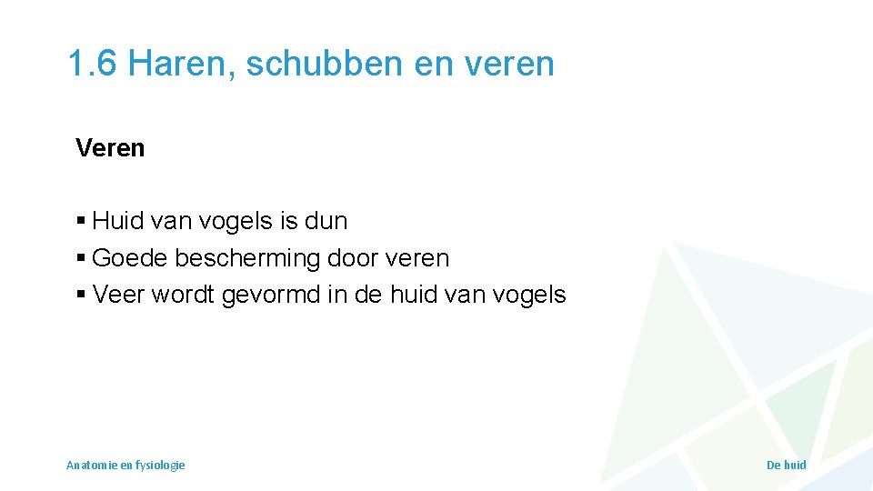 1. 6 Haren, schubben en veren Veren § Huid van vogels is dun §