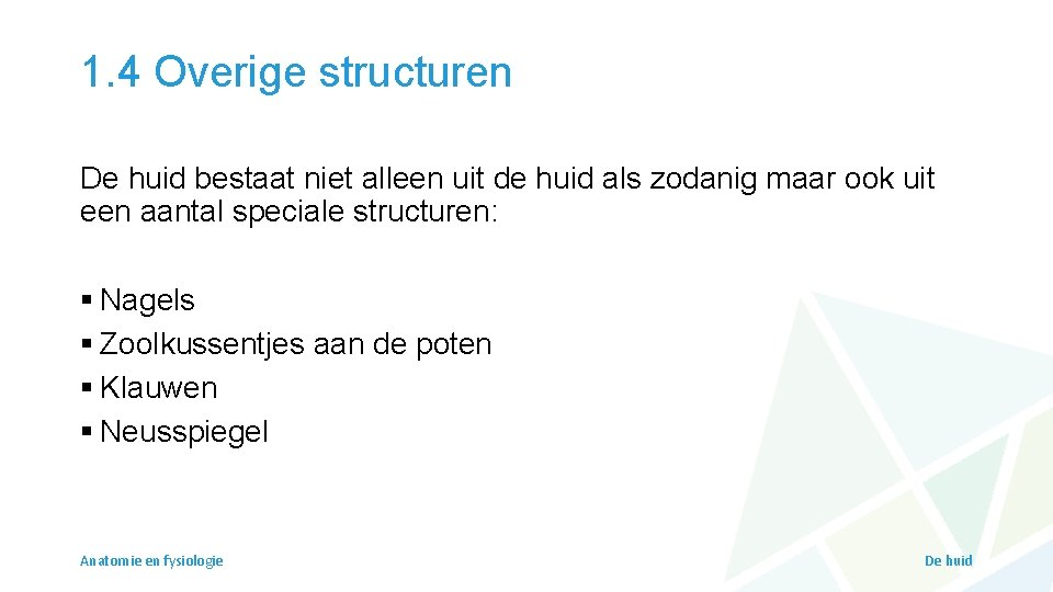 1. 4 Overige structuren De huid bestaat niet alleen uit de huid als zodanig