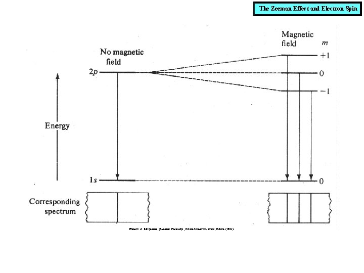 The Zeeman Effect and Electron Spin From D. A. Mc. Quarrie, Quantum Chemistry, Oxford