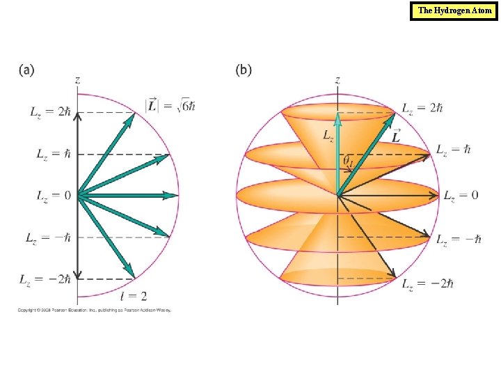 The Hydrogen Atom 