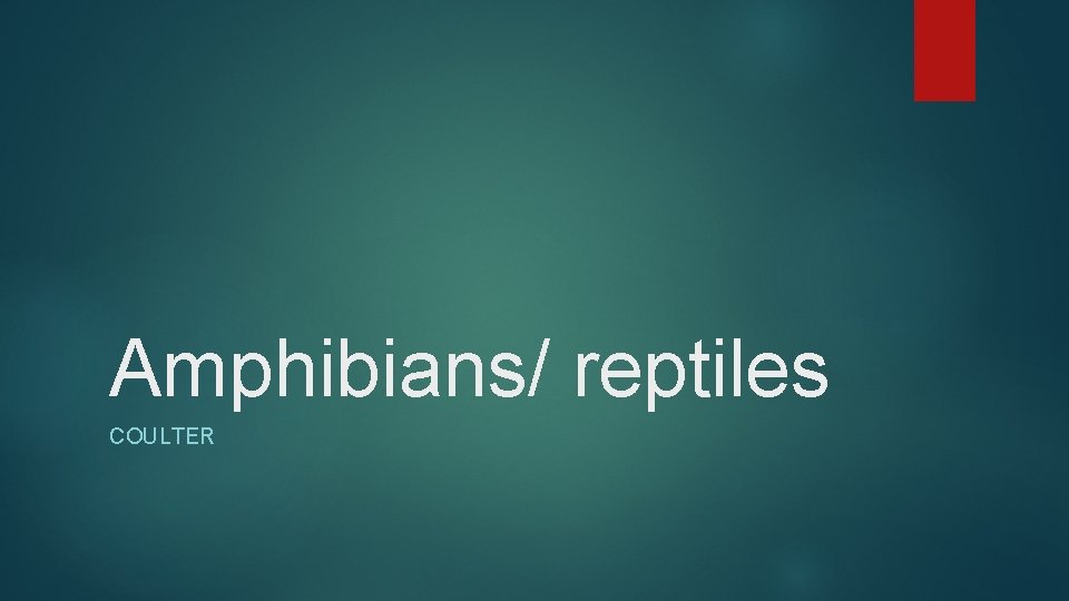 Amphibians/ reptiles COULTER 