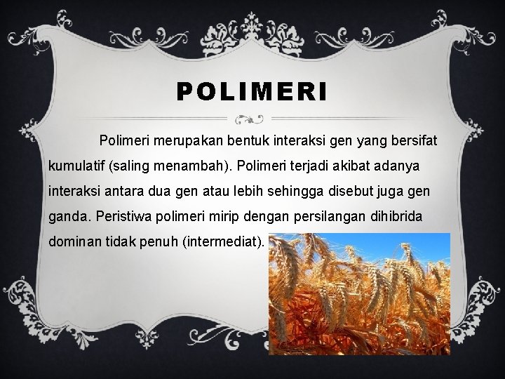 POLIMERI Polimeri merupakan bentuk interaksi gen yang bersifat kumulatif (saling menambah). Polimeri terjadi akibat