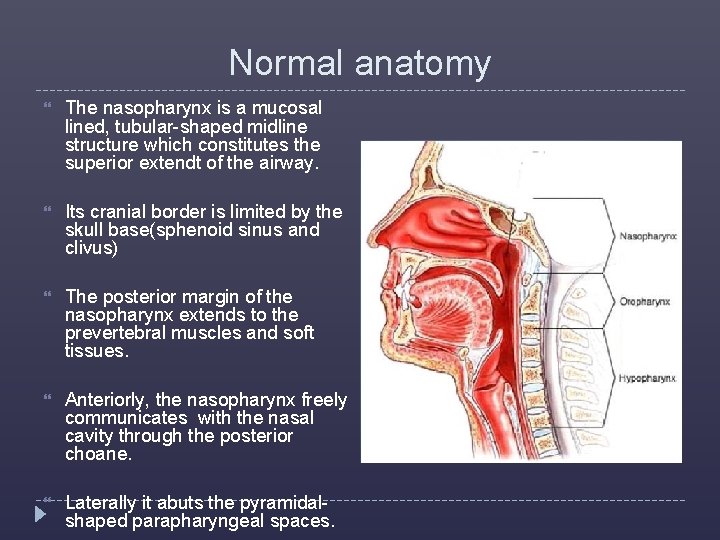 Normal anatomy The nasopharynx is a mucosal lined, tubular-shaped midline structure which constitutes the