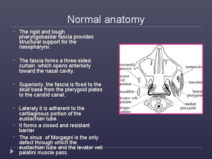 Normal anatomy The rigid and tough pharyngobasilar fascia provides structural support for the nasopharynx.