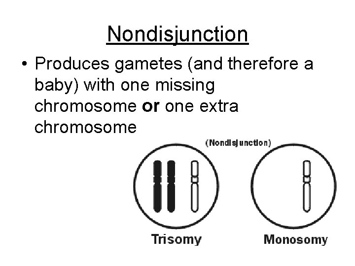 Nondisjunction • Produces gametes (and therefore a baby) with one missing chromosome or one