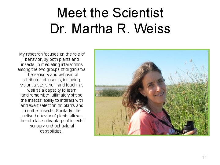 Meet the Scientist Dr. Martha R. Weiss My research focuses on the role of Meet the Scientist Dr. Martha R. Weiss My research focuses on the role of
