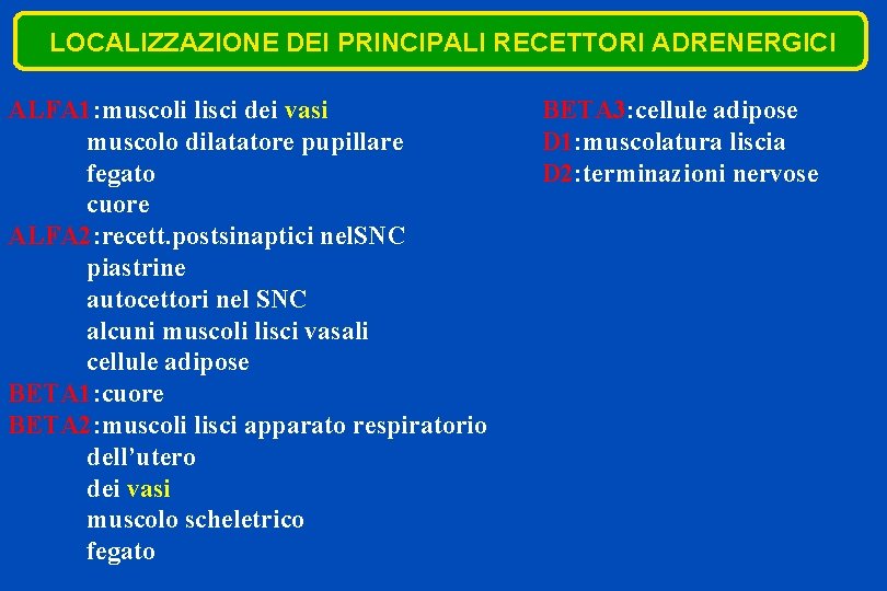 LOCALIZZAZIONE DEI PRINCIPALI RECETTORI ADRENERGICI ALFA 1: muscoli lisci dei vasi muscolo dilatatore pupillare