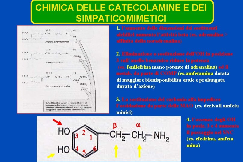 CHIMICA DELLE CATECOLAMINE E DEI SIMPATICOMIMETICI 1. l’aumento delle dimensioni dei sostituenti alchilici aumenta