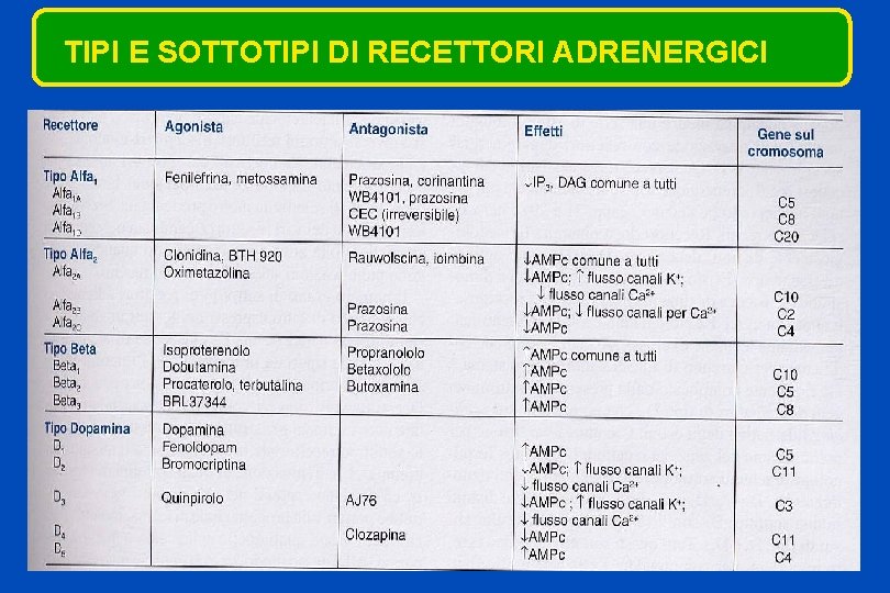 TIPI E SOTTOTIPI DI RECETTORI ADRENERGICI 