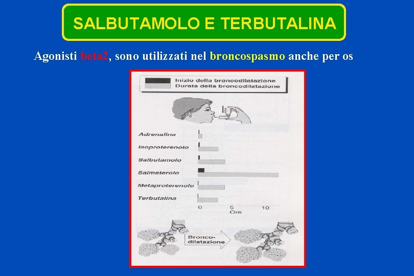 SALBUTAMOLO E TERBUTALINA Agonisti beta 2, sono utilizzati nel broncospasmo anche per os 