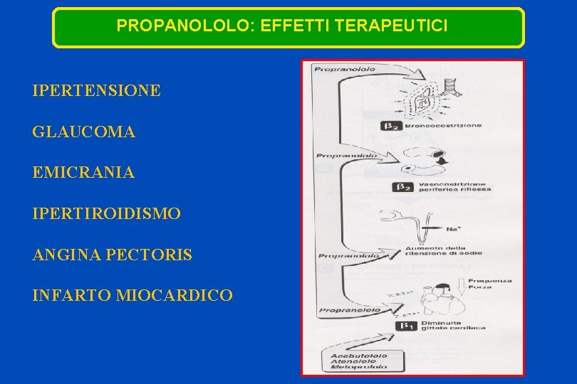 PROPANOLOLO: EFFETTI TERAPEUTICI IPERTENSIONE GLAUCOMA EMICRANIA IPERTIROIDISMO ANGINA PECTORIS INFARTO MIOCARDICO 