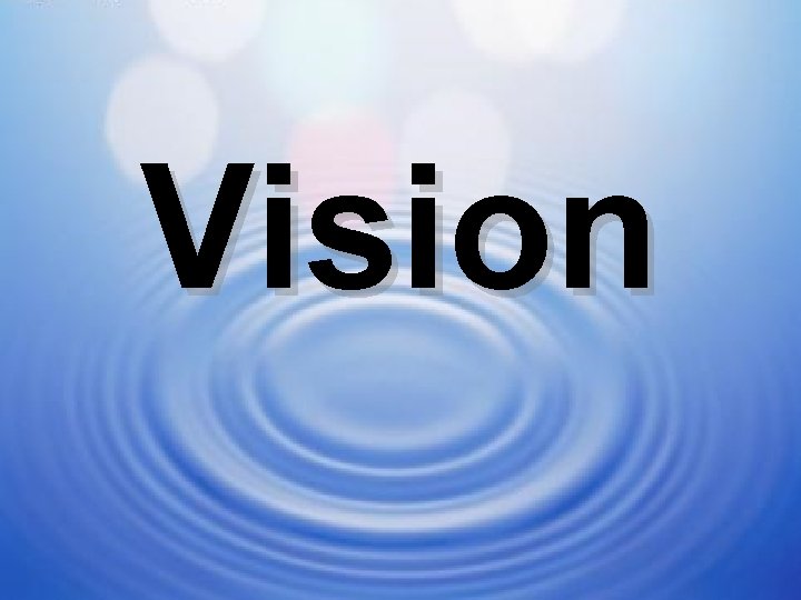 Vision 1 