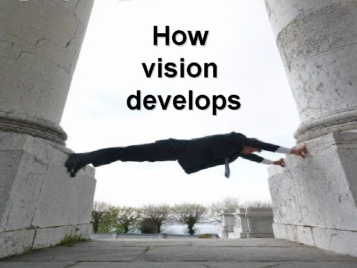 How vision develops 10 