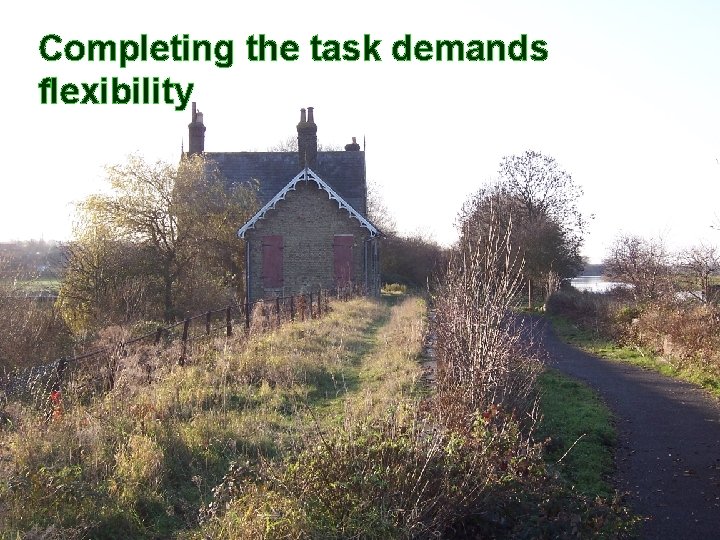 Completing the task demands flexibility 34 